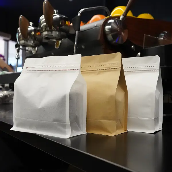 500G bolsas horizontales de café en blanco y papel kraft con válvula