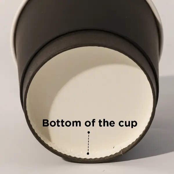 Estructura inferior de vaso de papel suave al tacto que muestra una base segura y resistente a fugas