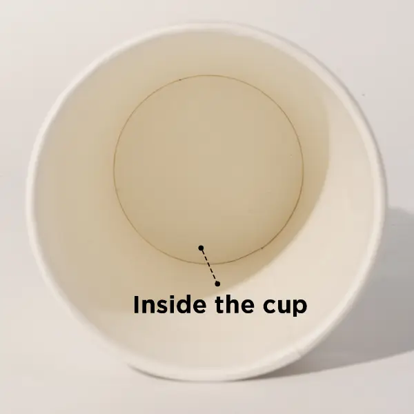 Estructura interior del vaso de papel esponja de doble pared