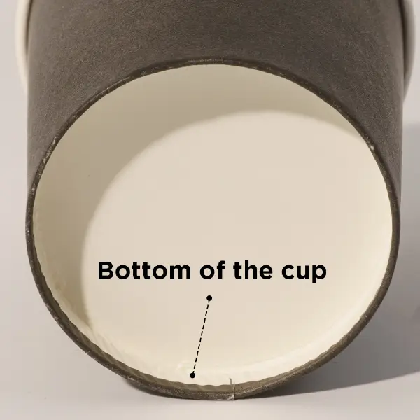 Estructura inferior y detalle de sellado del vaso de papel mate UV