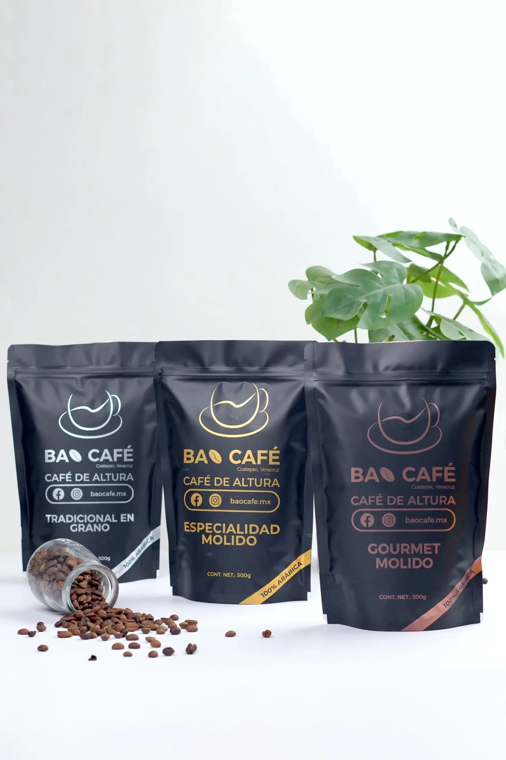 Bolsas de café con fondo de caja